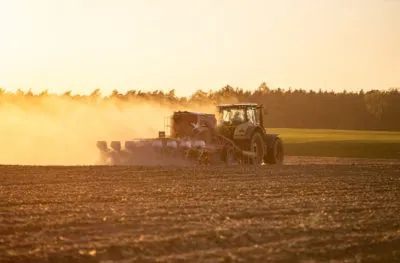 Artykuł na blogu Czajkowski Die häufigsten Fehler vor der Aussaat in der Strip-Till-Technologie