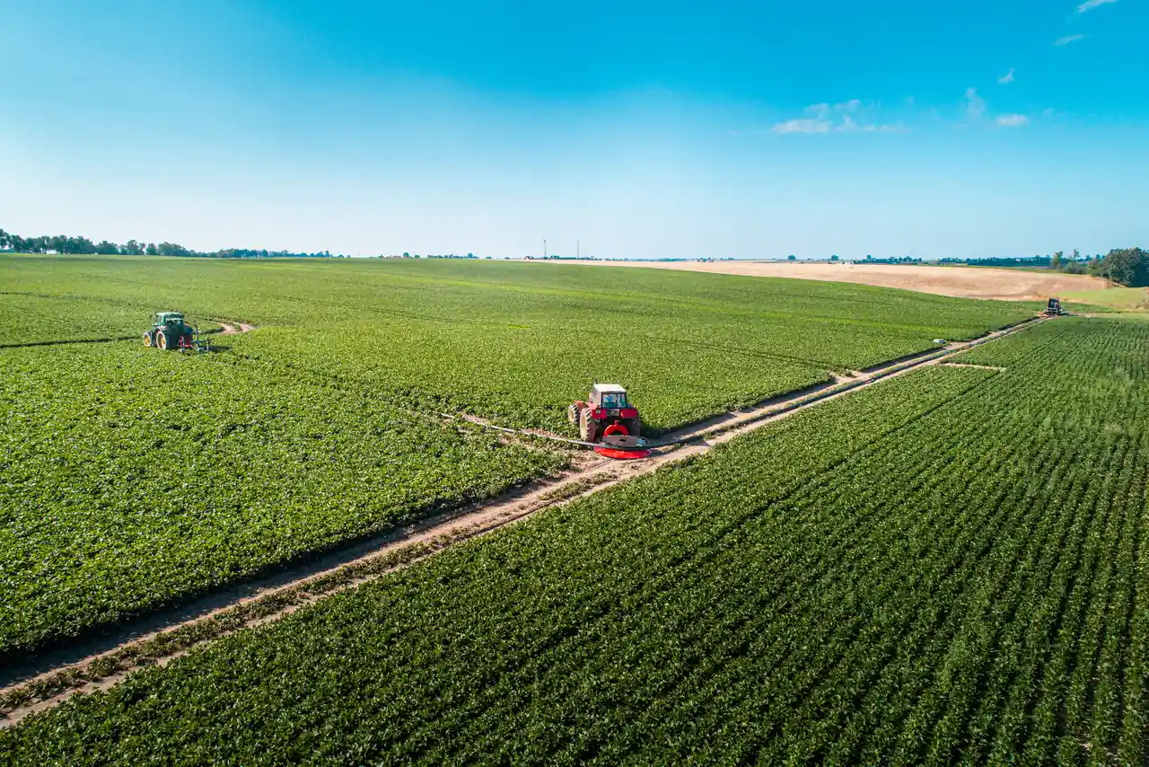 RC — panorama pola Rolka RC i ciągniki na drogach polowych wśród zielonych upraw, szerokie ujęcie z góry.